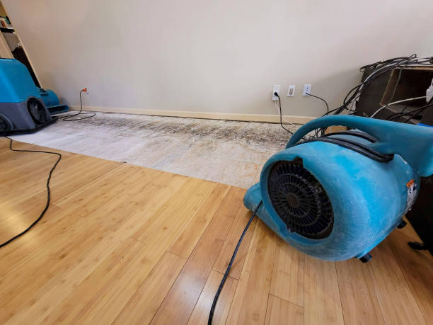 Professional Water Damage Repair technician working in Irondale, OH